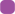 purple-Icon
